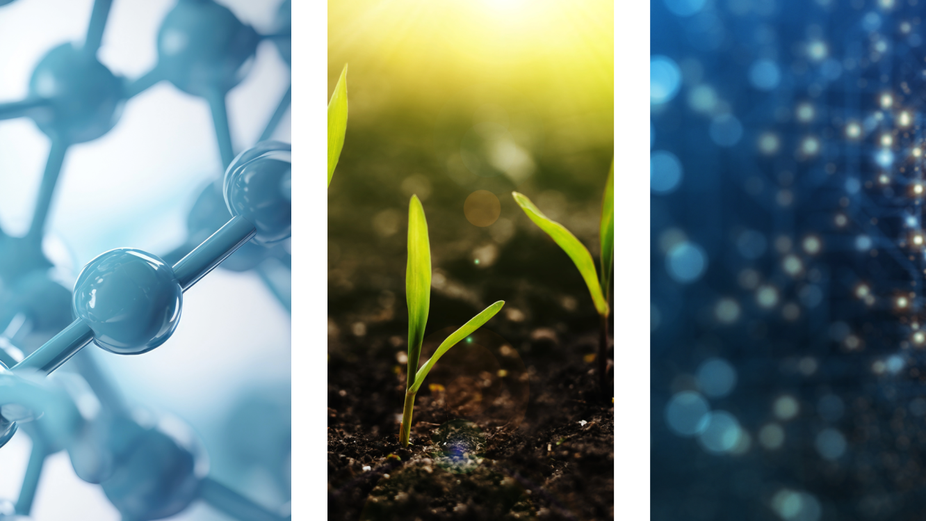 molecules, growing plants and soils, and data points