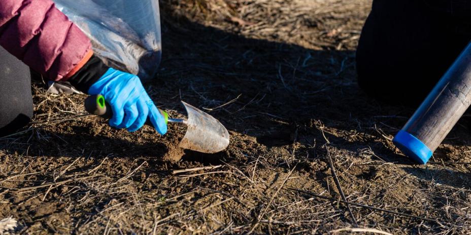 a researcher collects a soil core sample and digs with a small shovel