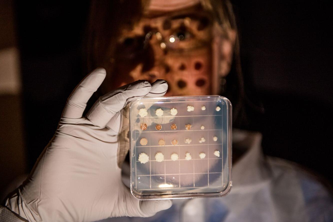 researcher wearing gloves holds fungi sample in transparent case